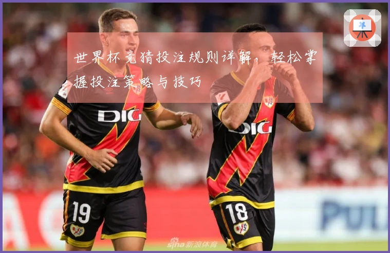 世界杯竞猜投注规则详解，轻松掌握投注策略与技巧