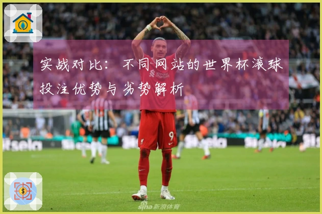 实战对比：不同网站的世界杯滚球投注优势与劣势解析