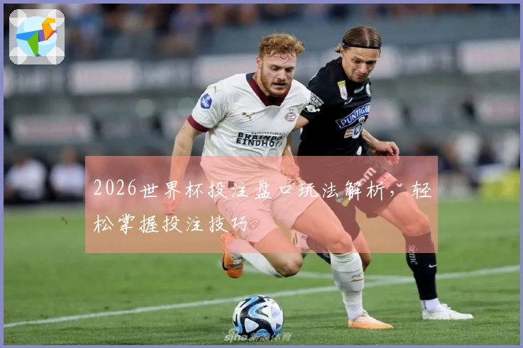 2026世界杯投注盘口玩法解析，轻松掌握投注技巧