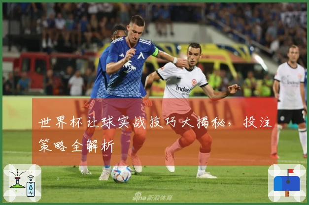 世界杯让球实战技巧大揭秘，投注策略全解析