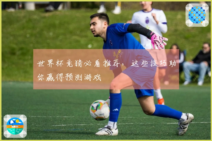 世界杯竞猜必看推荐，这些技巧助你赢得预测游戏