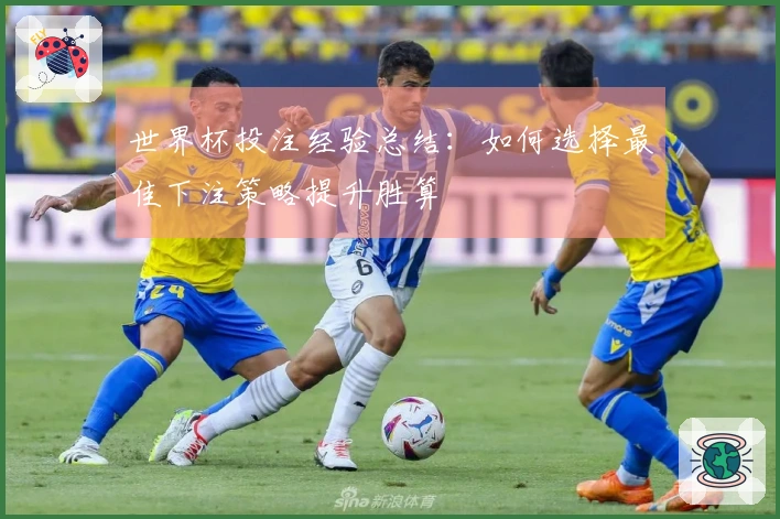 世界杯投注经验总结：如何选择最佳下注策略提升胜算