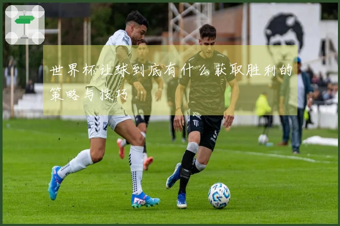 世界杯让球到底有什么获取胜利的策略与技巧