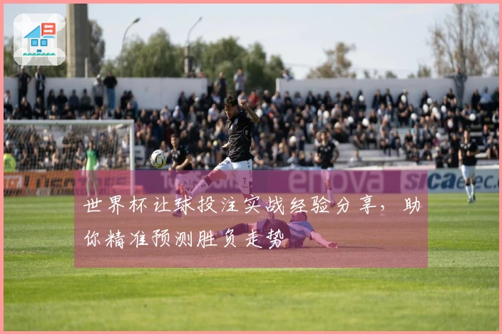 世界杯让球投注实战经验分享，助你精准预测胜负走势