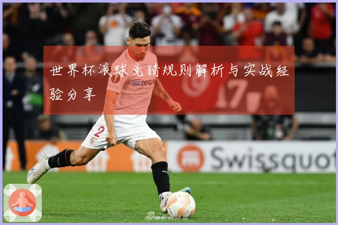 世界杯滚球竞猜规则解析与实战经验分享