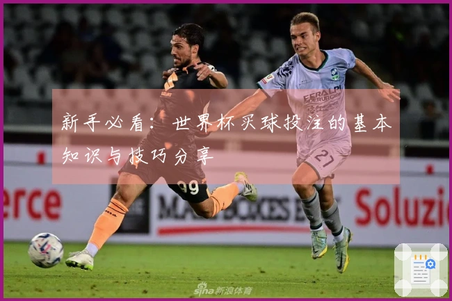 新手必看：世界杯买球投注的基本知识与技巧分享