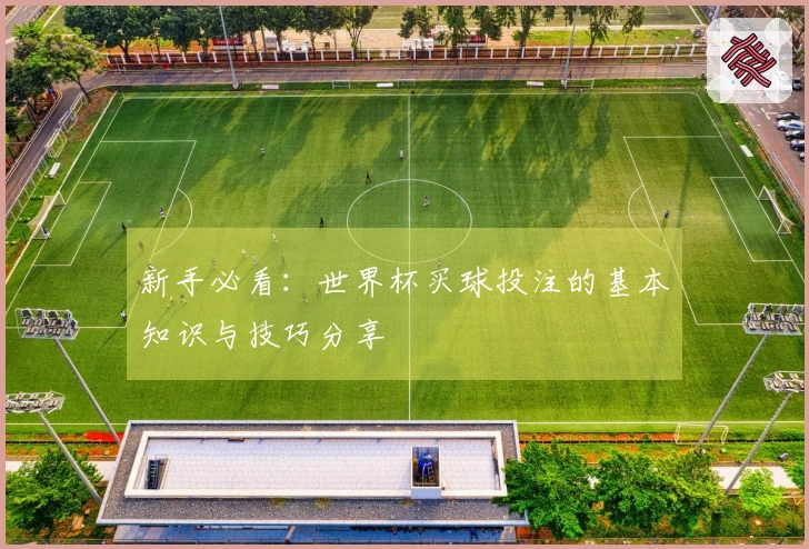 新手必看：世界杯买球投注的基本知识与技巧分享