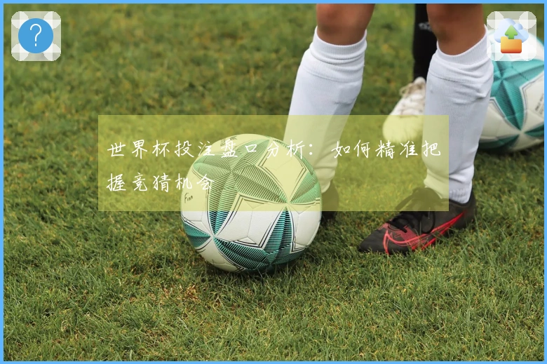 世界杯投注盘口分析：如何精准把握竞猜机会